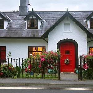 Couette-café Ivy, Killarney